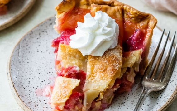 the best rhubarb pie slice on a plate