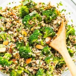 Creamy Broccoli Quinoa Salad with Greek Yogurt Lemon Dressing. Healthy and protein packed! Perfect for make ahead meals, light lunches, and potluck side dishes. {gluten free} Recipe at wellplated.com | @wellplated