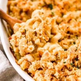 Butternut squash mac and cheese with breadcrumb topping
